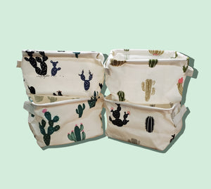 Can't Touch This-Cactus Basket