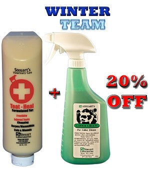 Steuart's Winter Team